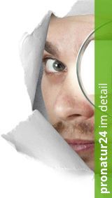 Image Column Image Column